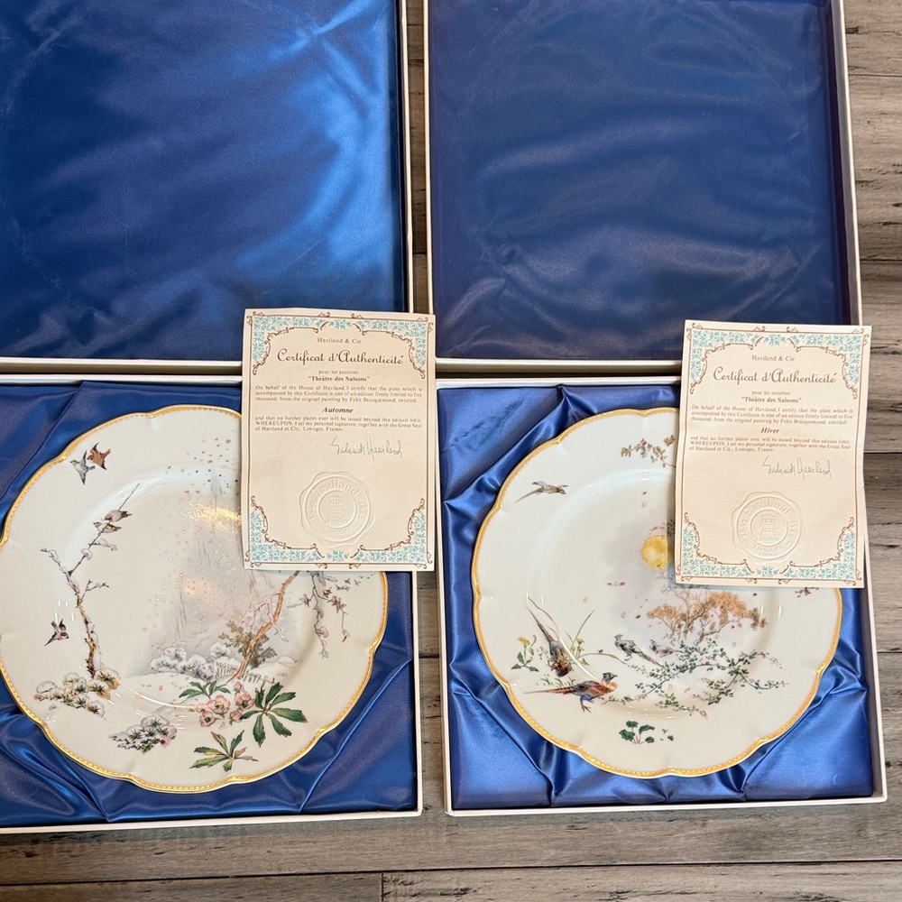 Decorative Blue-Accented Porcelain Plate Set - Floral & Bird Motifs